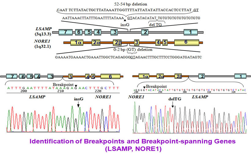 Identification of the 1q-3q breakpoints and related genes